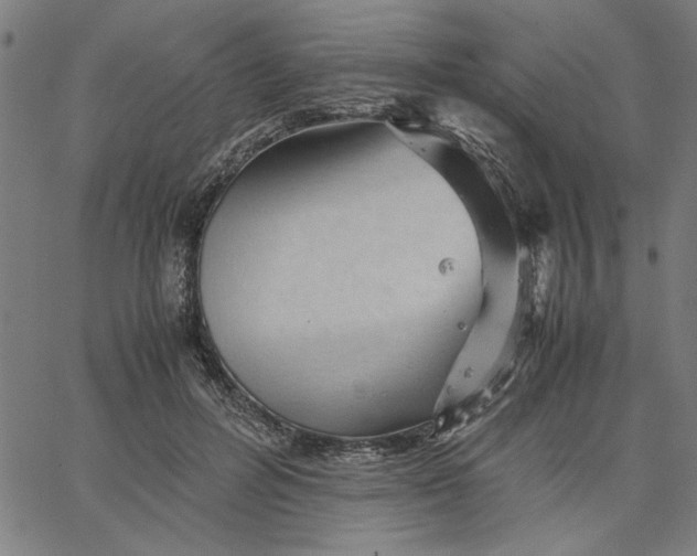 X0000065250600200603031805