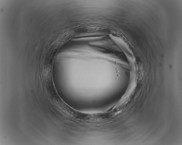 X0000065250601200603031805