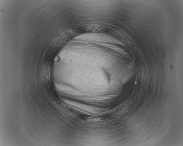 X0000065250602200603031805