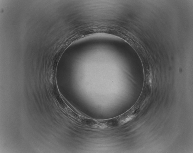 X0000065250604200603031805