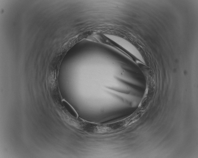 X0000065250605200603031805