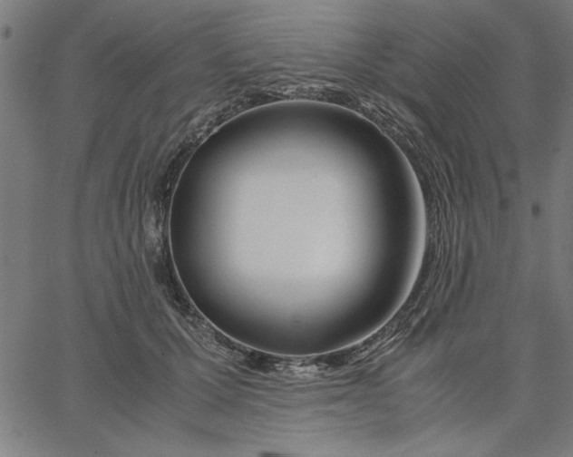 X0000065250607200603031805