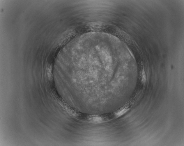 X0000065250610200603031805