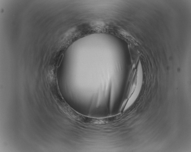 X0000065250611200603031805