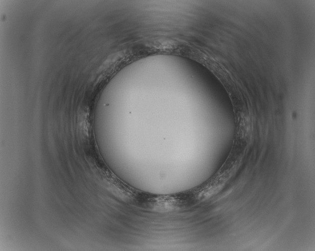 X0000065250612200603031805