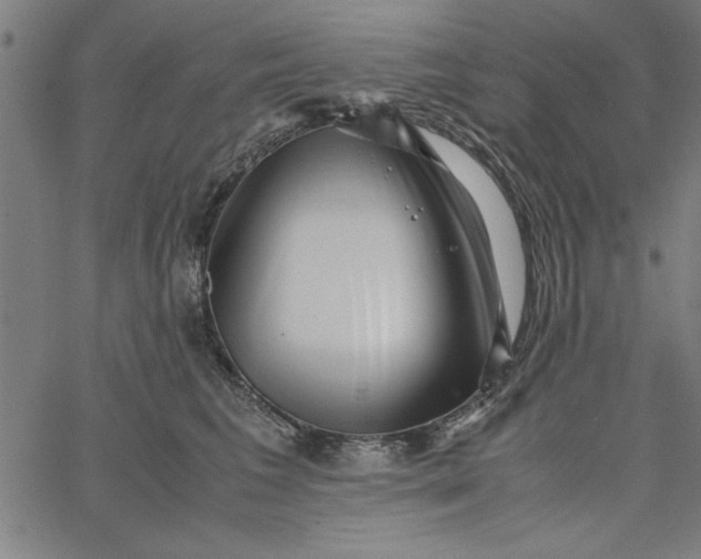 X0000065250613200603031805