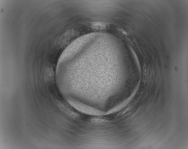 X0000065250614200603031805