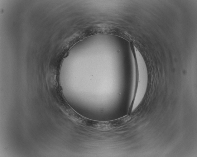 X0000065250615200603031805