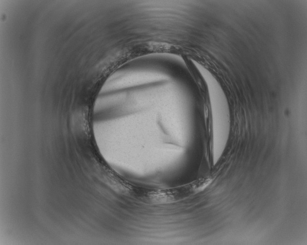 X0000065250616200603031805