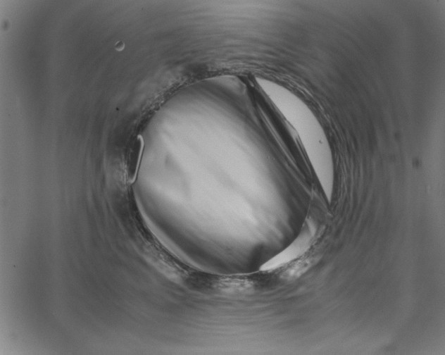 X0000065250617200603031805