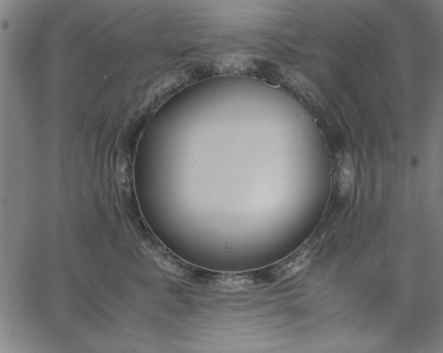 X0000065250619200603031805