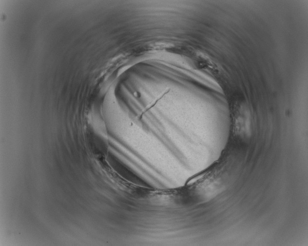 X0000065250620200603031805