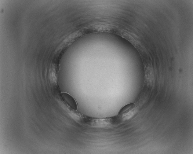 X0000065250622200603031805