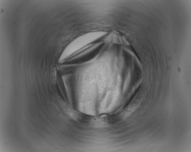 X0000065250624200603031805