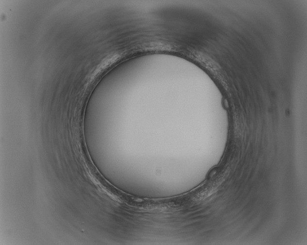 X0000065250625200603031804