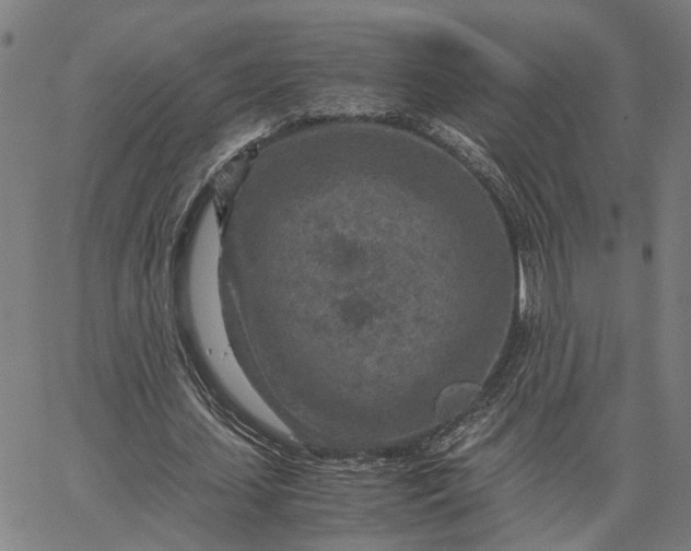 X0000065250627200603031804