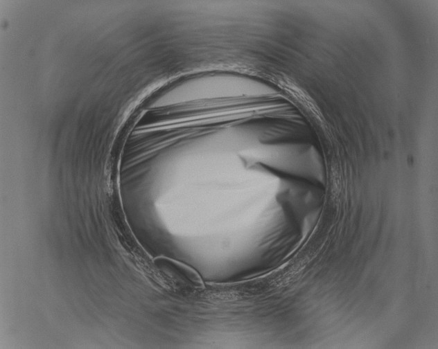 X0000065250628200603031804