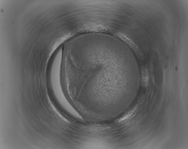 X0000065250630200603031804