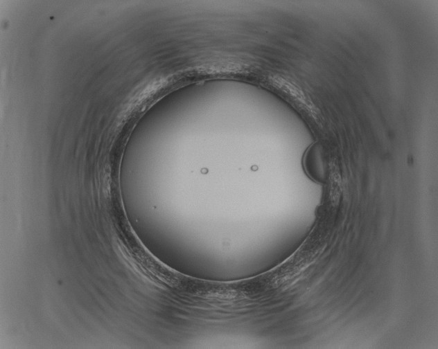 X0000065250631200603031804