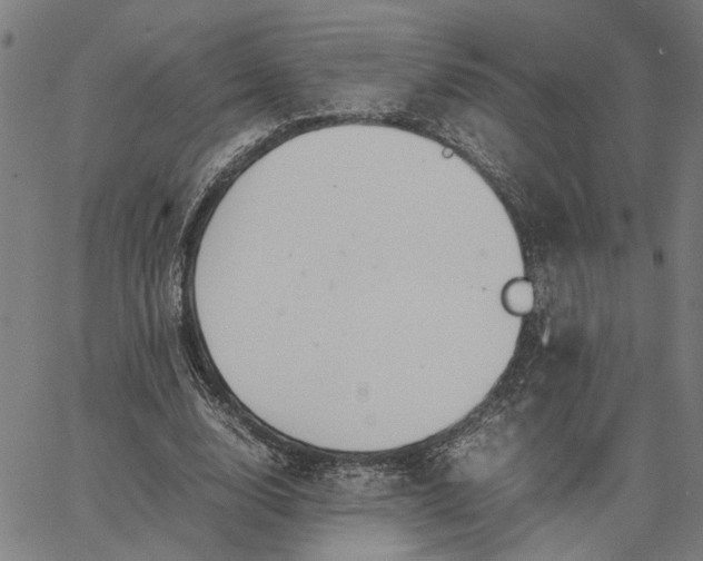 X0000065250632200603031804