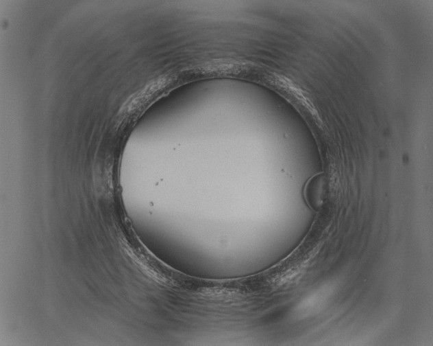 X0000065250633200603031804