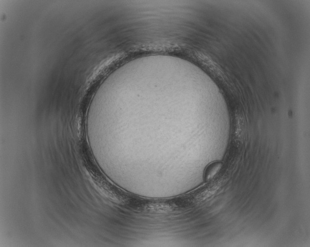 X0000065250636200603031804