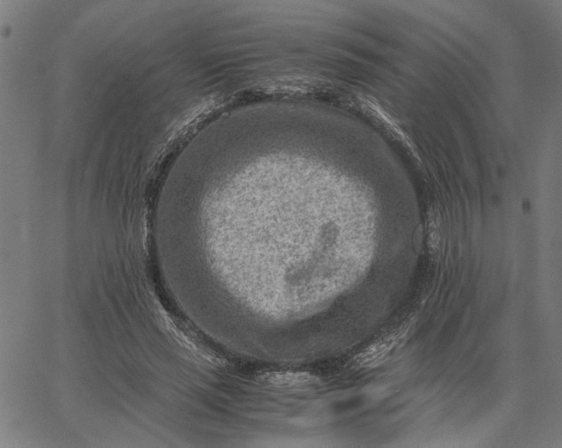 X0000065250637200603031804