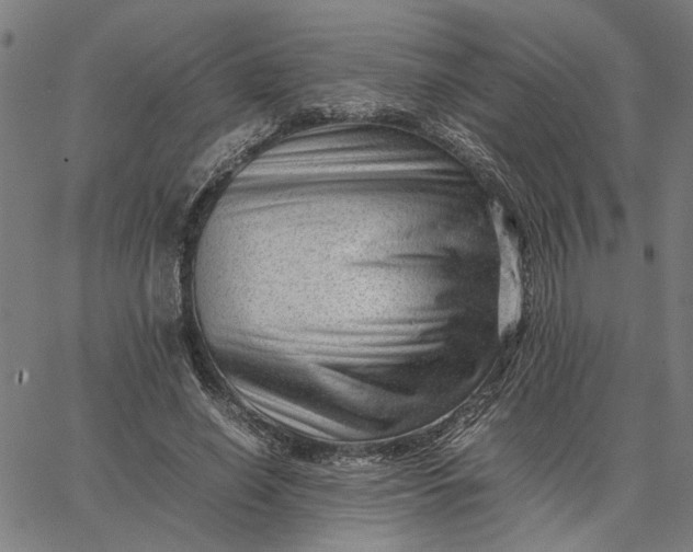 X0000065250638200603031804