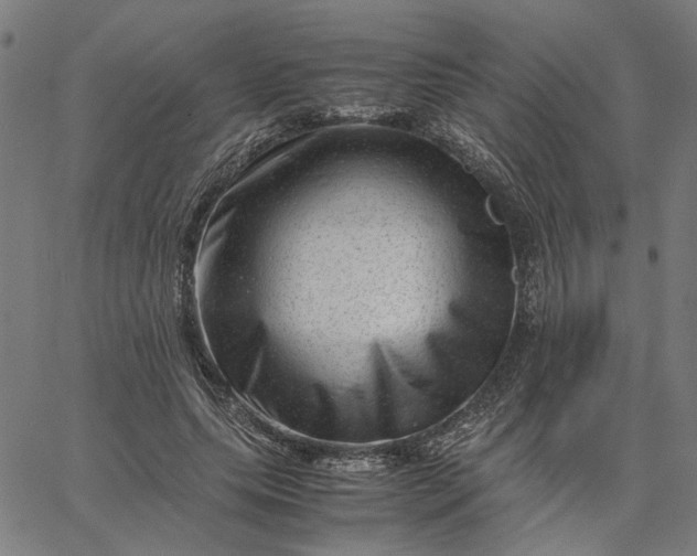 X0000065250639200603031804