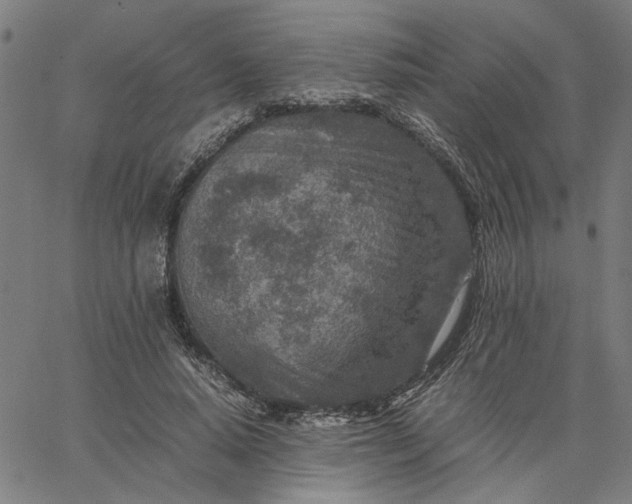 X0000065250640200603031804