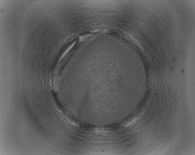 X0000065250641200603031804