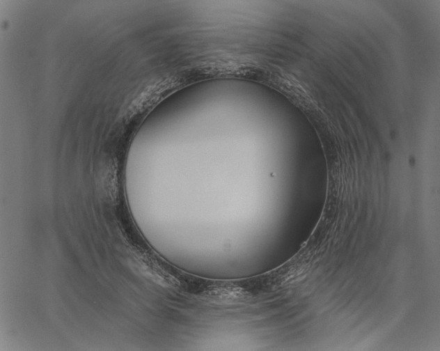 X0000065250642200603031804