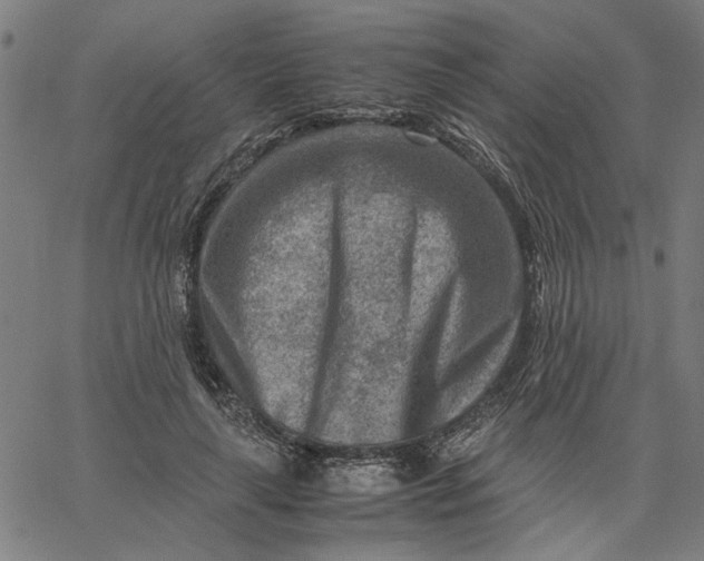 X0000065250643200603031804