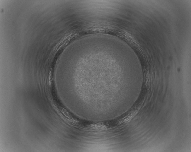 X0000065250644200603031804