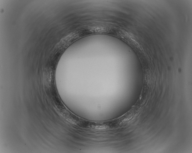 X0000065250645200603031804