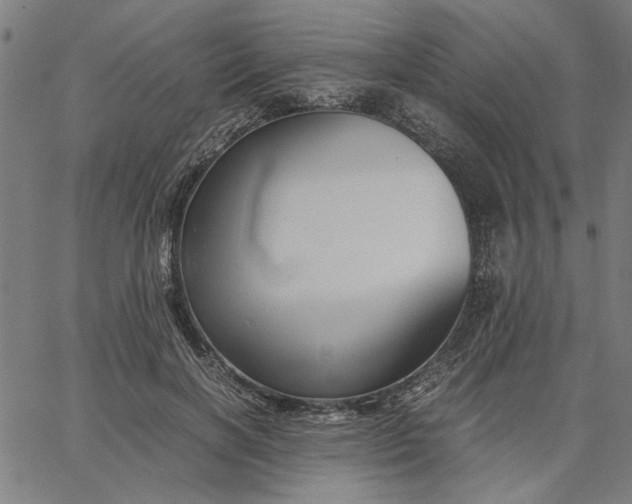 X0000065250646200603031804