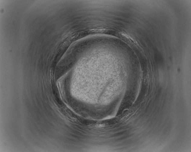 X0000065250647200603031804