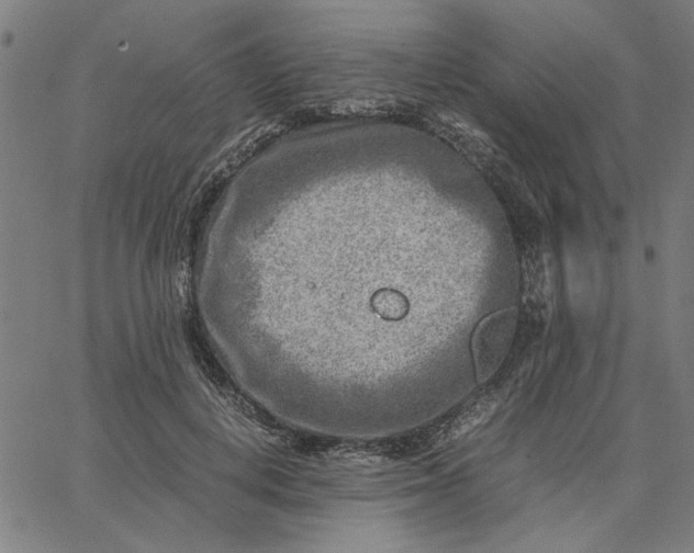 X0000065250648200603031804