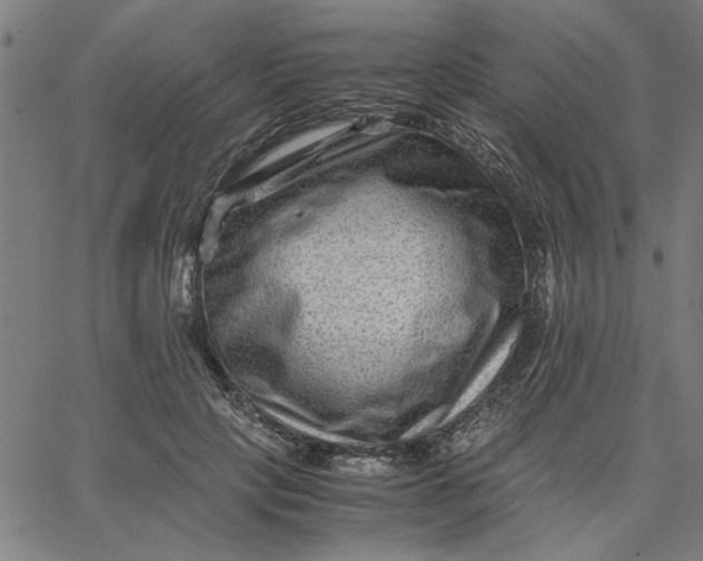 X0000065250649200603031805