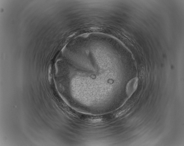 X0000065250651200603031805