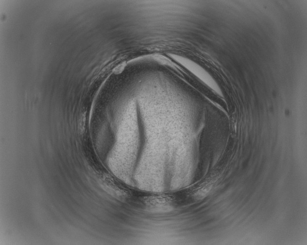 X0000065250652200603031805