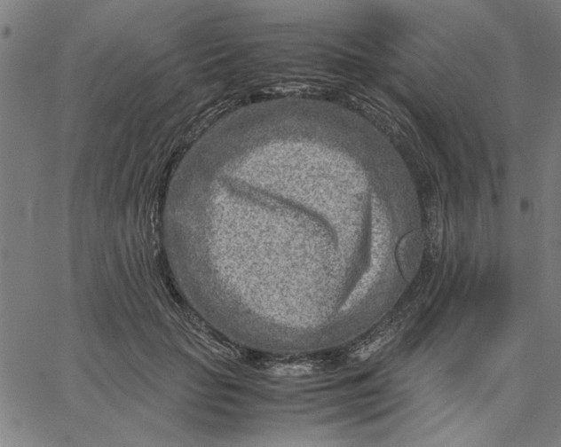 X0000065250653200603031805