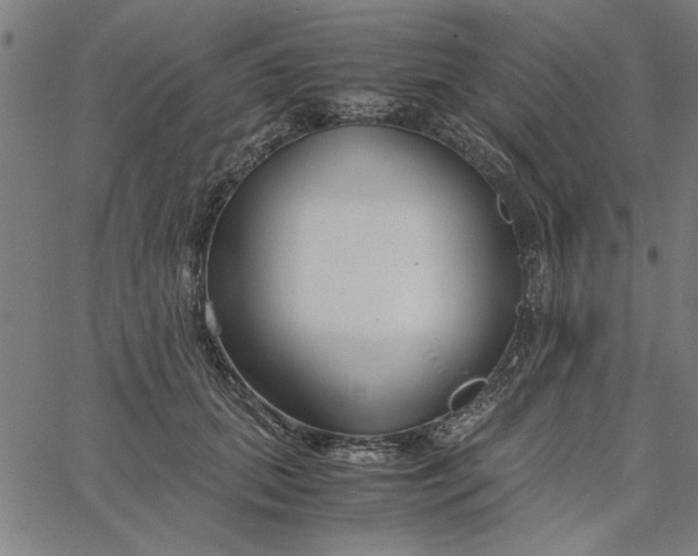 X0000065250655200603031805