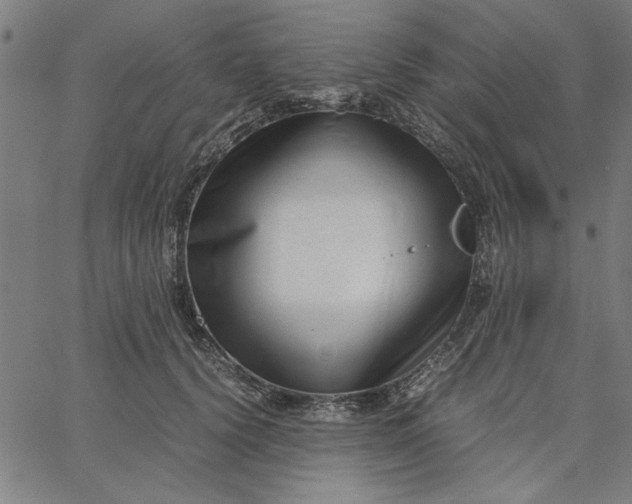 X0000065250656200603031805