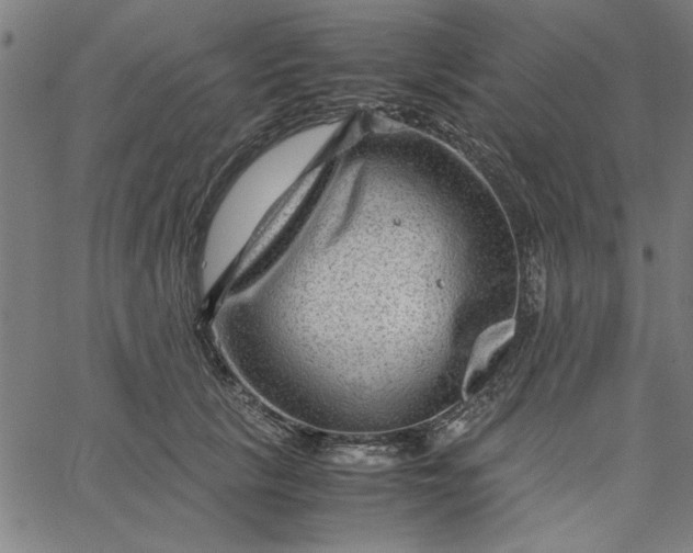 X0000065250657200603031805