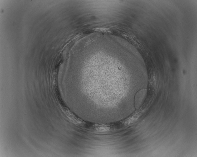 X0000065250658200603031805