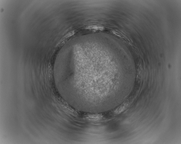 X0000065250659200603031805