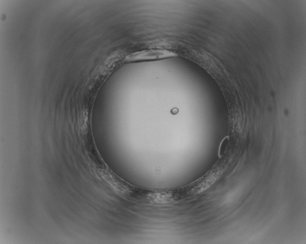 X0000065250660200603031805