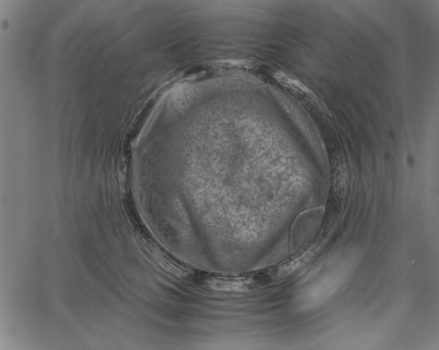 X0000065250661200603031805