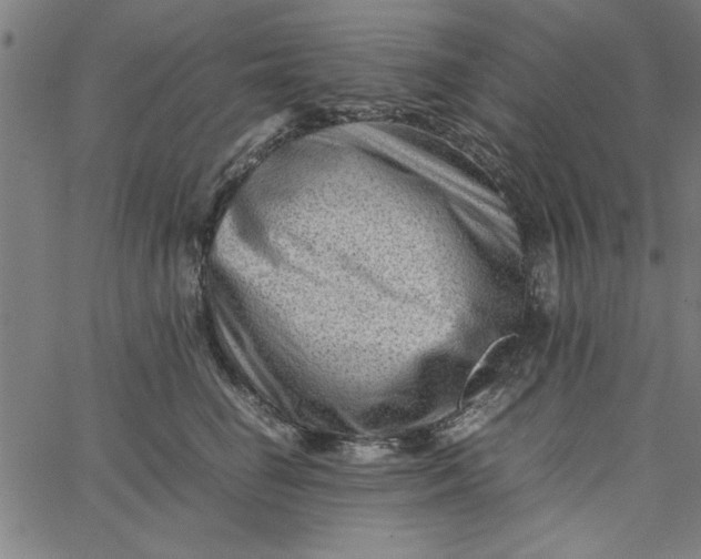 X0000065250662200603031805